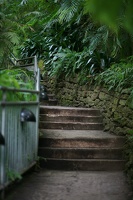 Zoo Steps